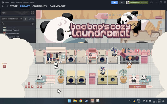 Bao Bao's Cozy Laundromat