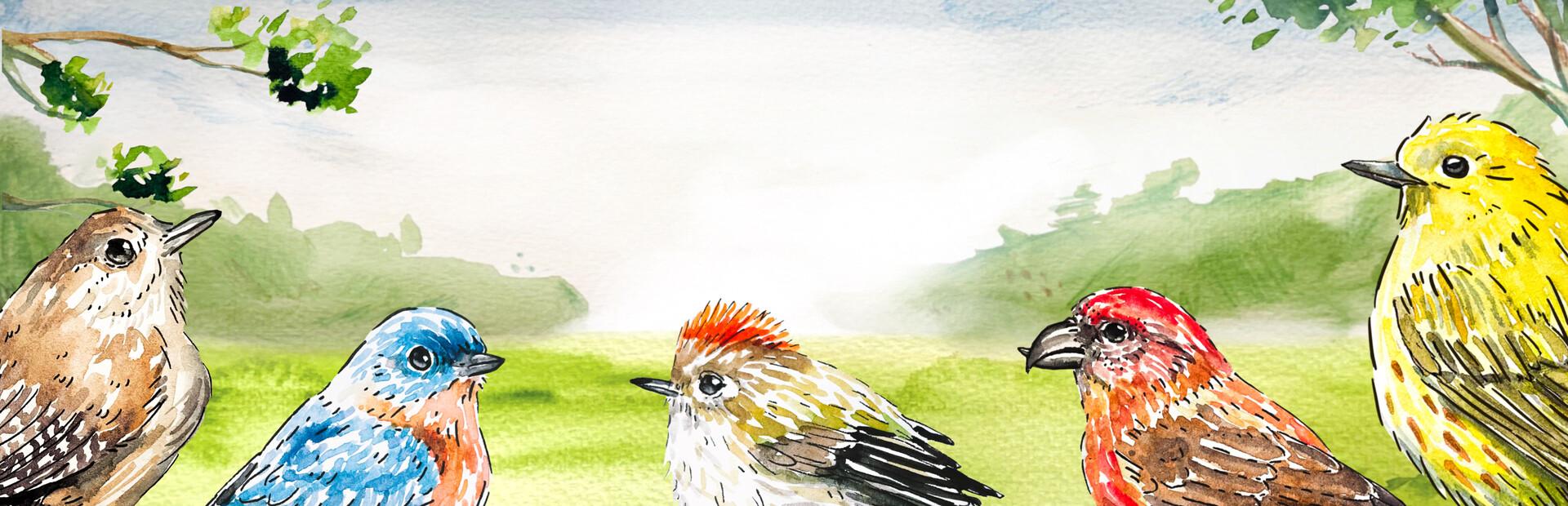 Birdfull
