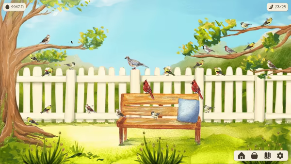 Birdfull video 3