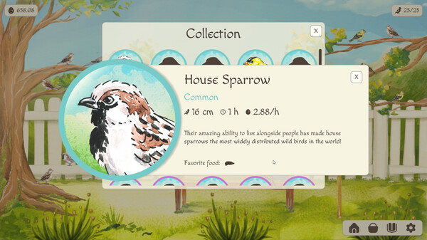Birdfull screenshot 5