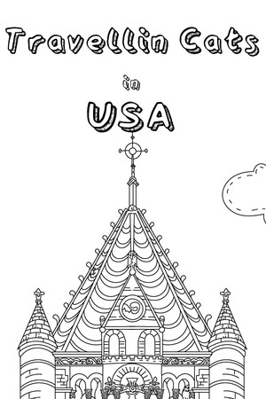 Travellin Cats in USA Stats