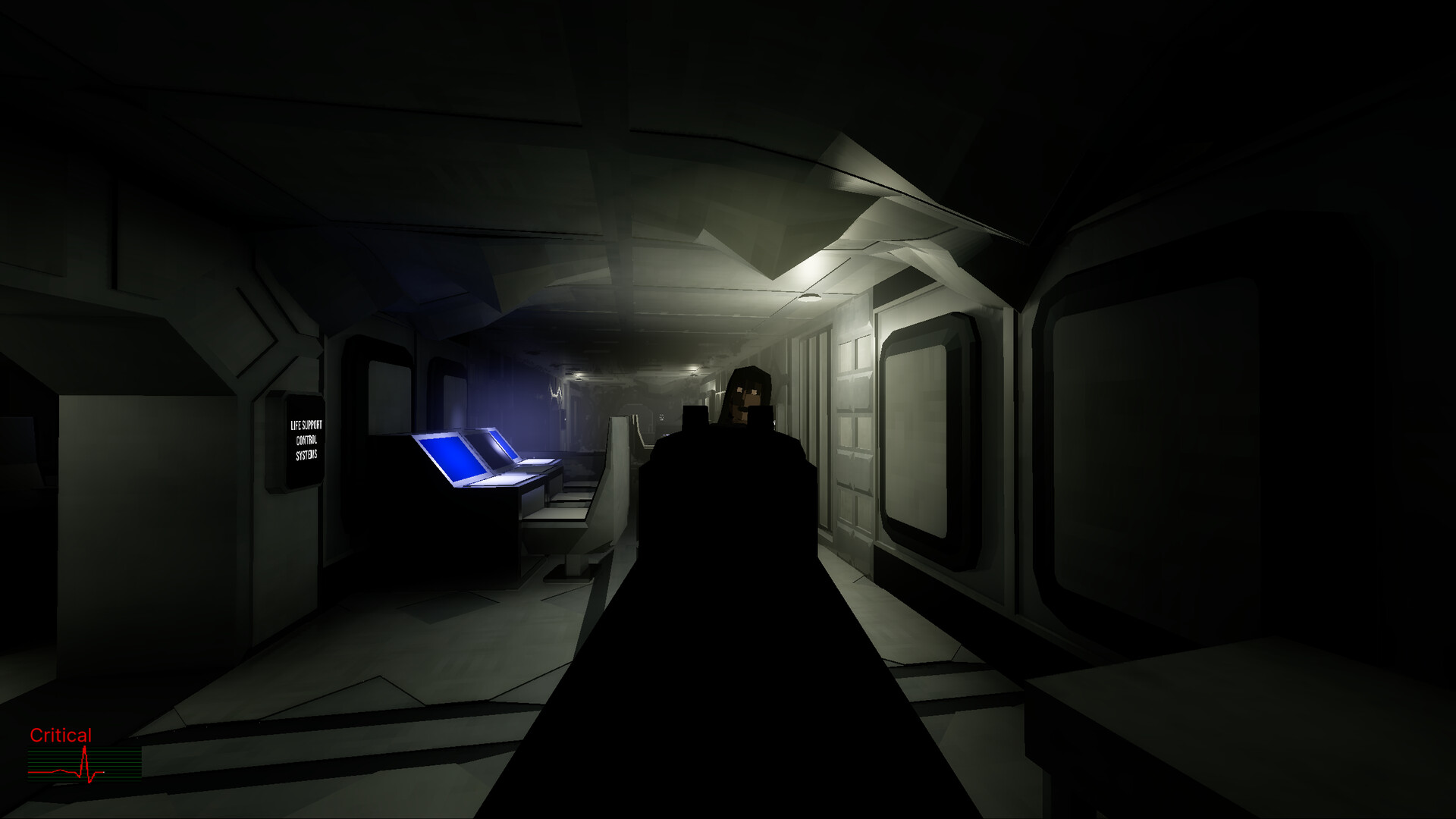 The SS Destiny Disaster screenshot #1