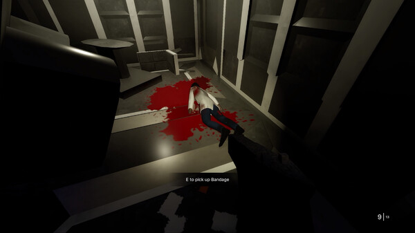 The SS Destiny Disaster screenshot 8