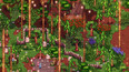 Screenshot #3