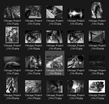 Chicago Project Illustrations screenshot 1