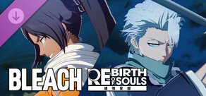 BLEACH 魂魄覺醒 - 千年血戰篇服裝套組:日番谷冬獅郎&四楓院夜一