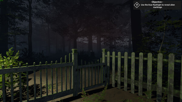 The Greys: Human Abductions.