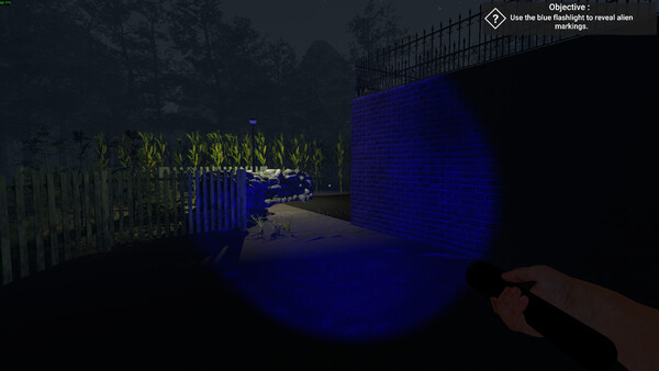 The Greys: Human Abductions.