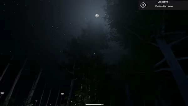 The Greys: Human Abductions video 5