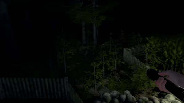 The Greys: Human Abductions video 3