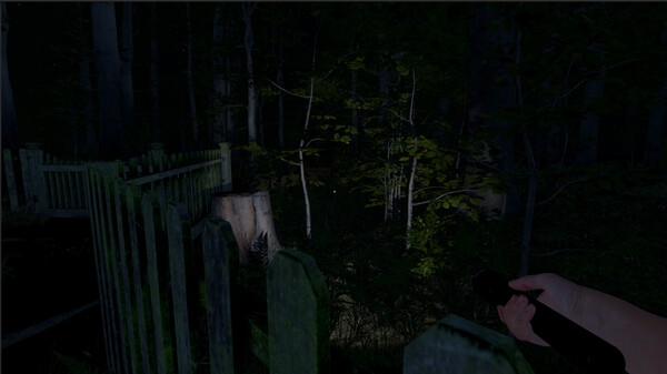 The Greys: Human Abductions.