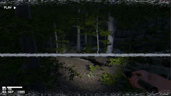 The Greys: Human Abductions.