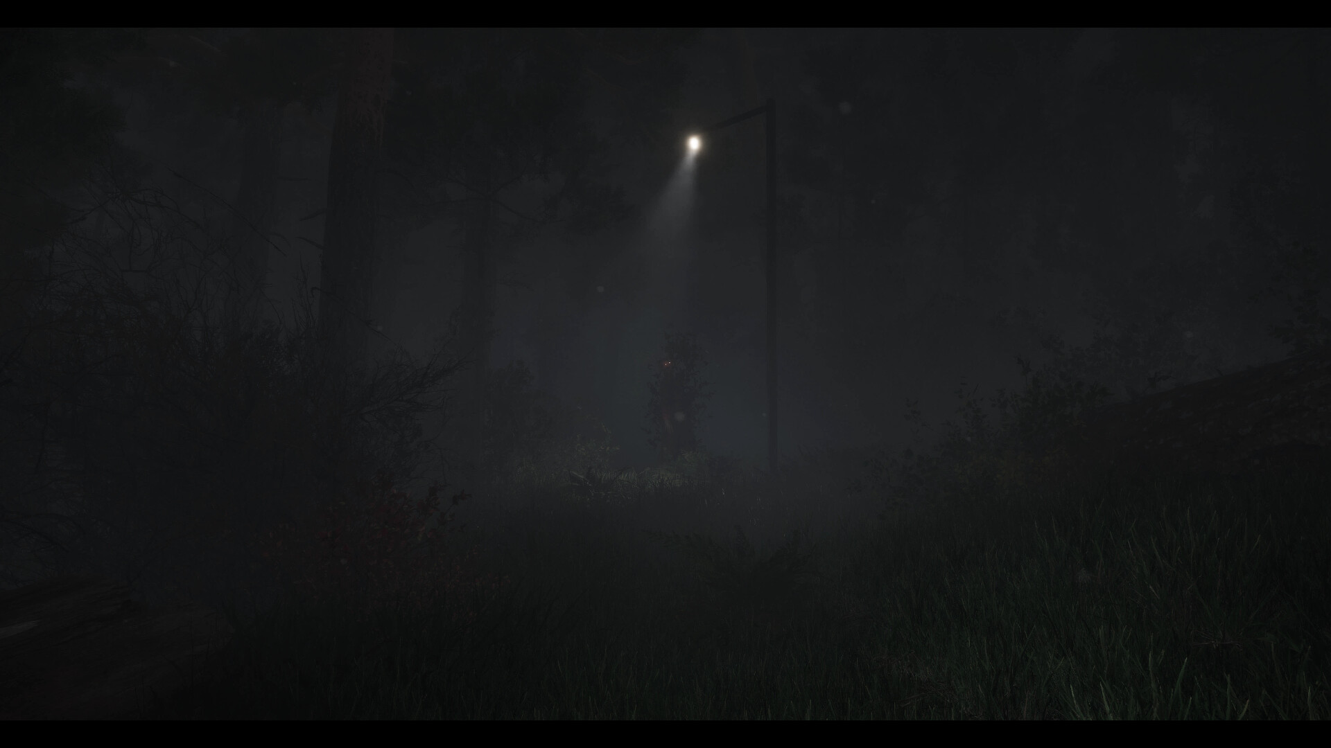 The Disappearance of Emily Crowe screenshot 2