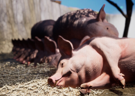 The Back Country screenshot 3