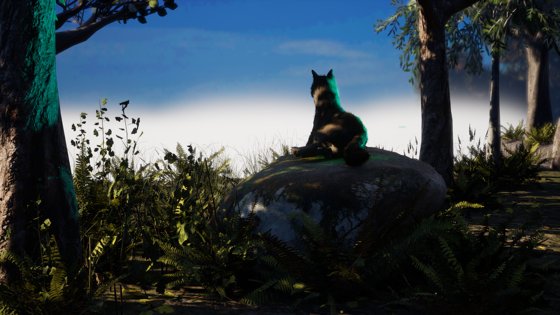 The Back Country screenshot #1