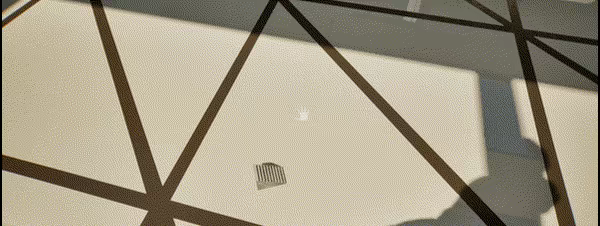 Greenhouse video 5