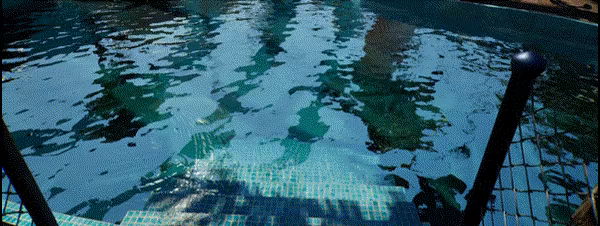 Greenhouse video 6