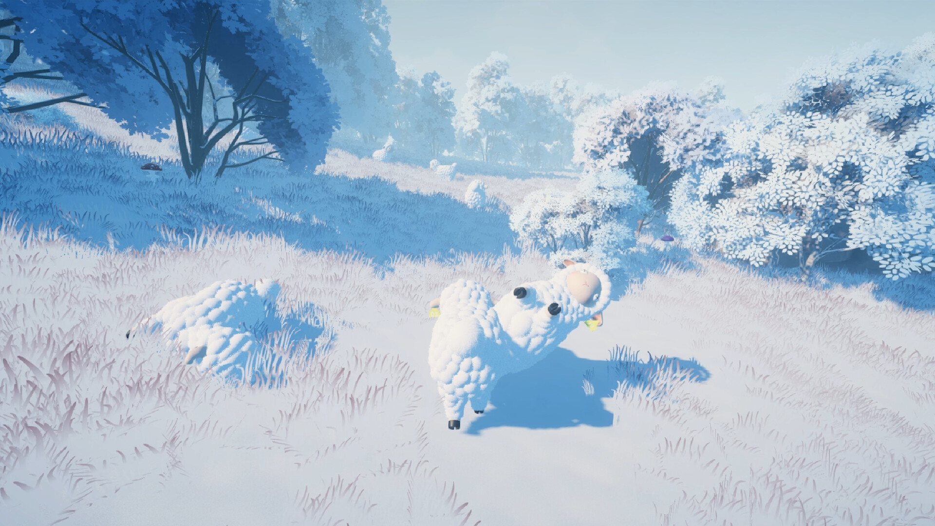 Hide and Sheep screenshot #2