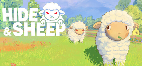 Hide and Sheep