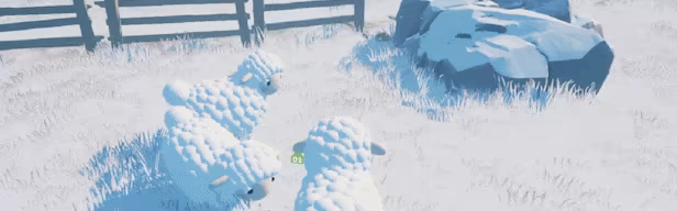Hide and Sheep video 3