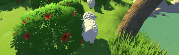 Hide and Sheep video 2