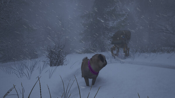 The Good Dog: Chasing Shadows