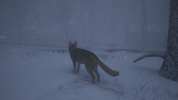 The Good Dog: Chasing Shadows