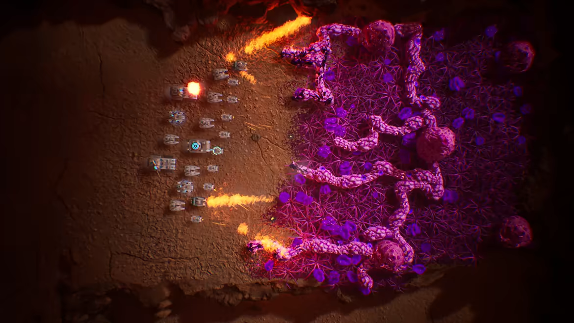 Calyx video 9