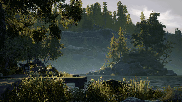 Full Size Image