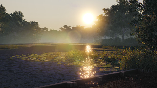 Full Size Image