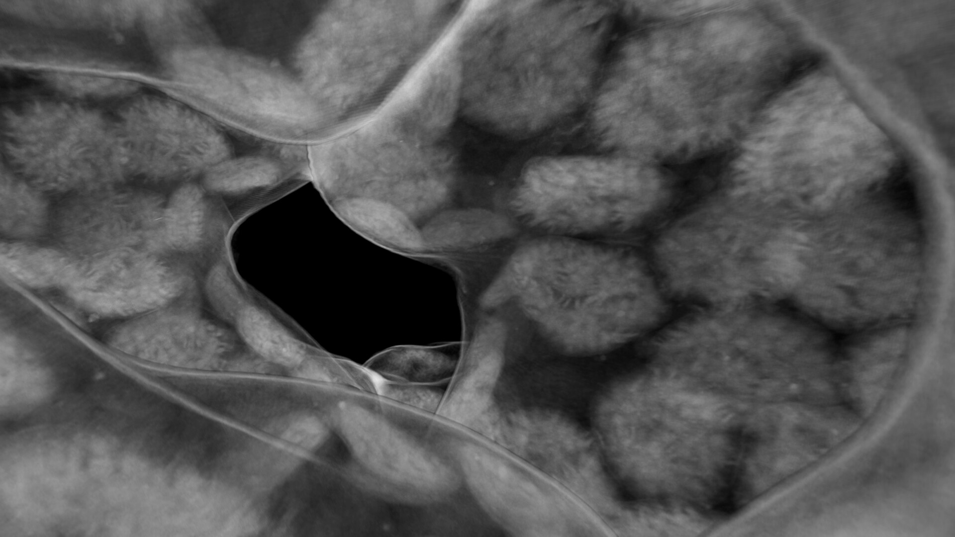 Tomography VR screenshot #7