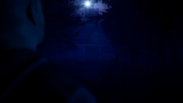 Blue Light Screenshot