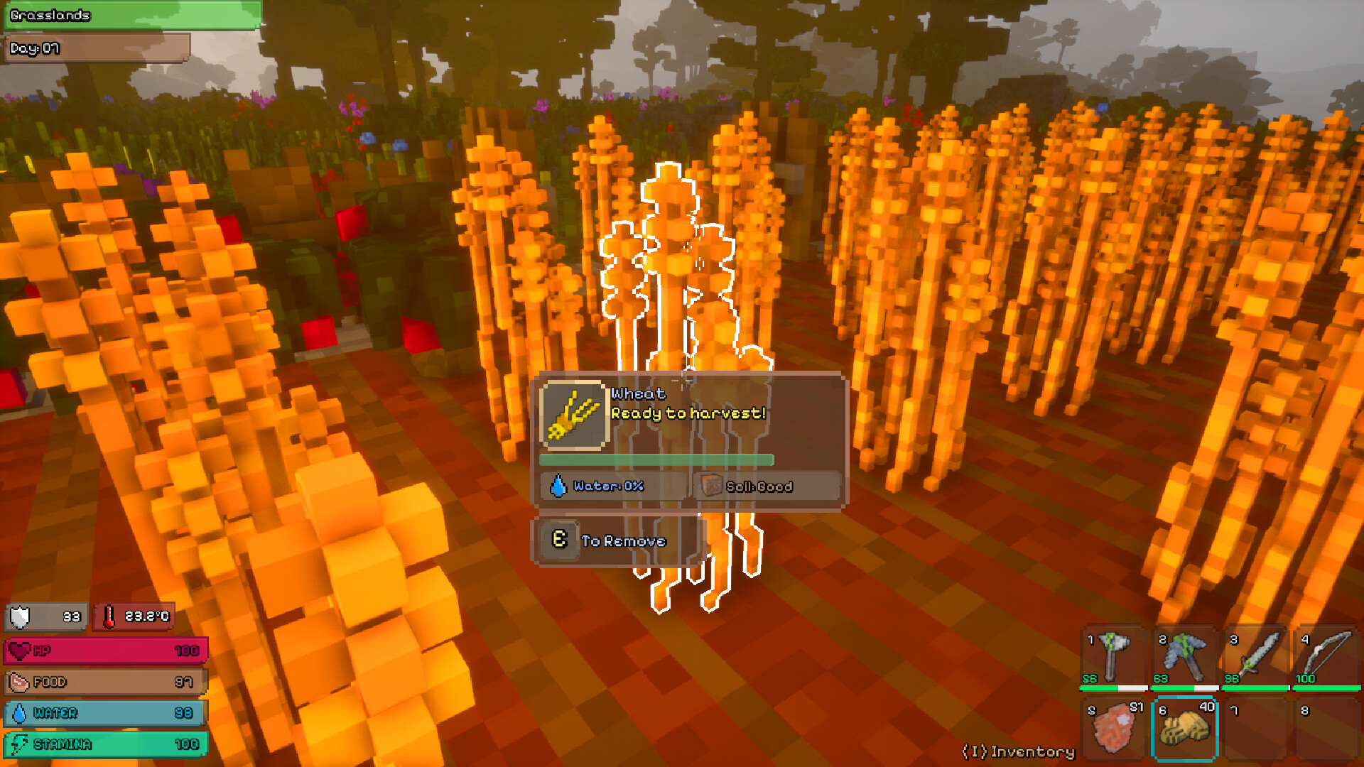 SurvivalWorld screenshot 9