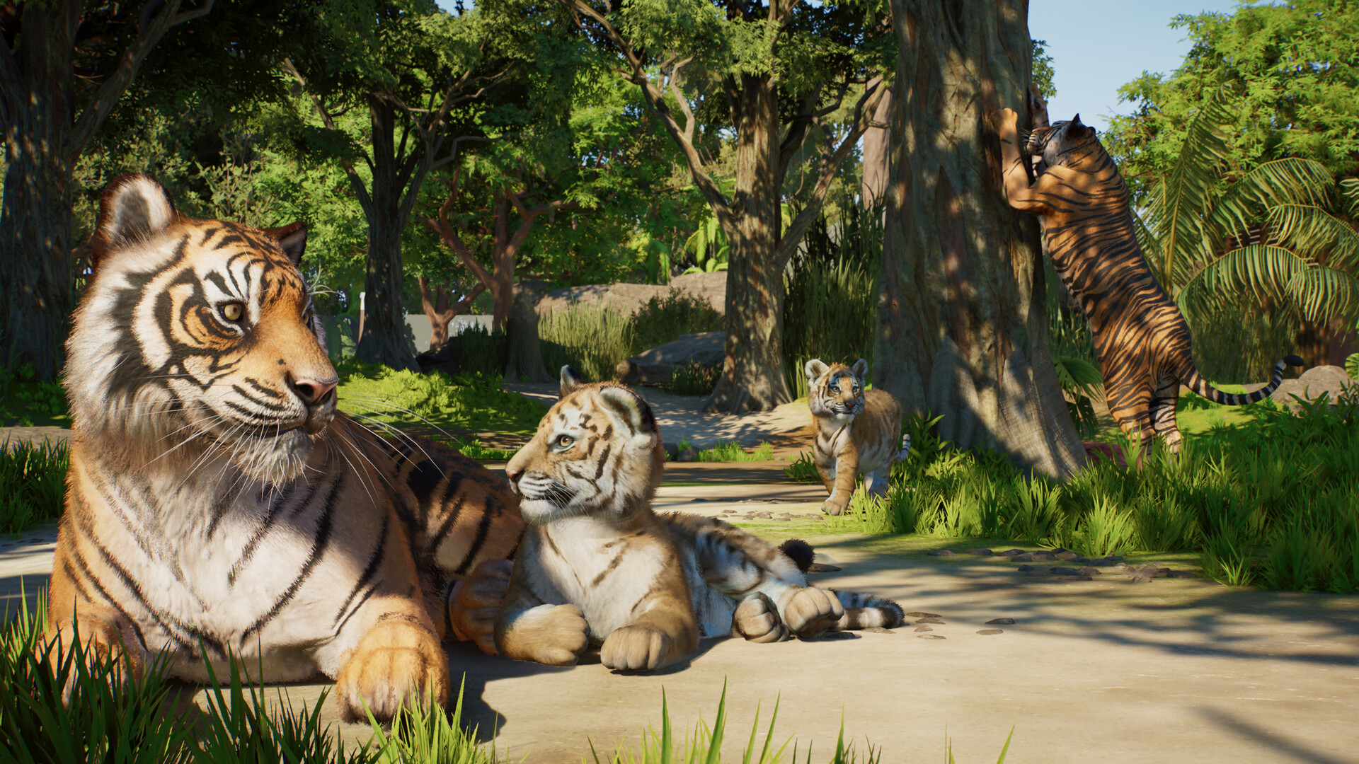 screenshot-22