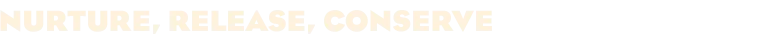 Game media