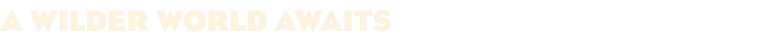 Game media