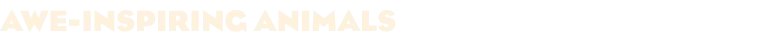 Game media
