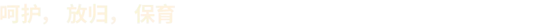 Planet Zoo 2
