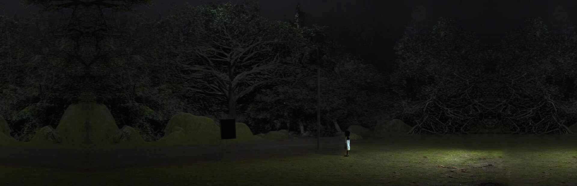 Midnight Echo