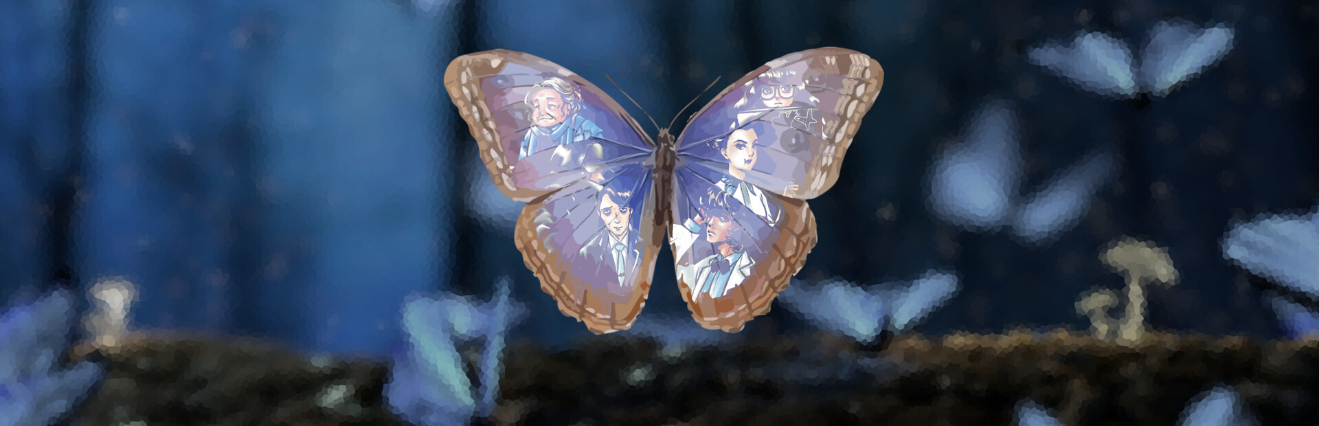 The Butterfly Dreams