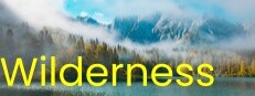Wilderness