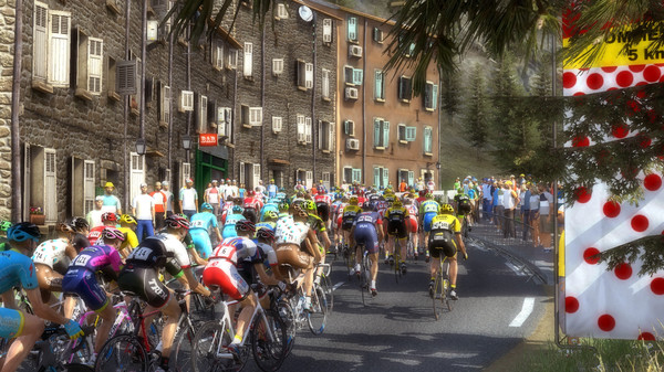 Screenshot z Pro Cycling Manager 2015