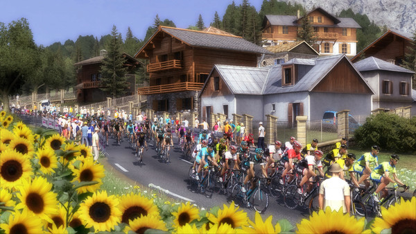 Screenshot z Pro Cycling Manager 2015