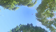 Screenshot #14