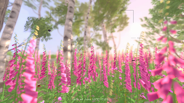 Grow Wild screenshot 20
