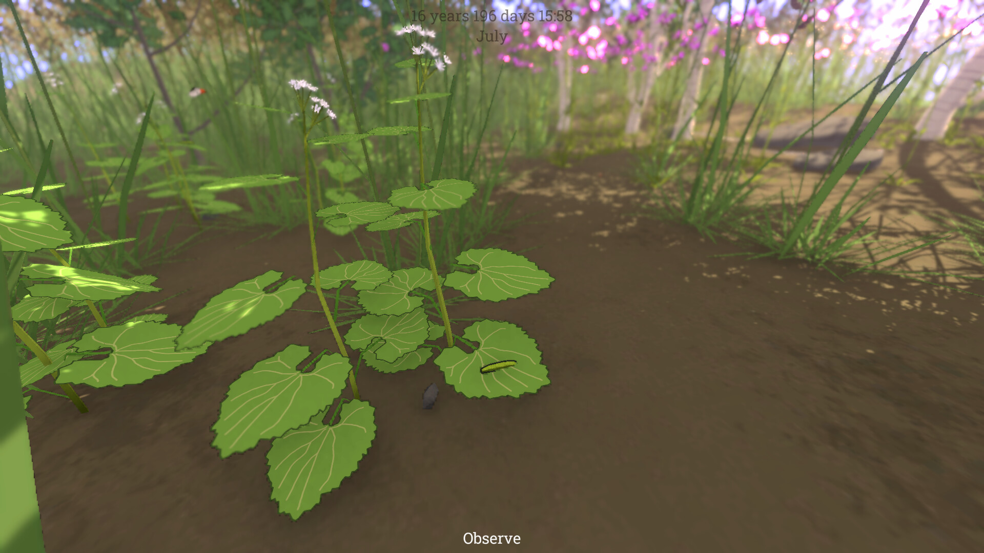 Grow Wild screenshot #11