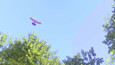 Screenshot #8