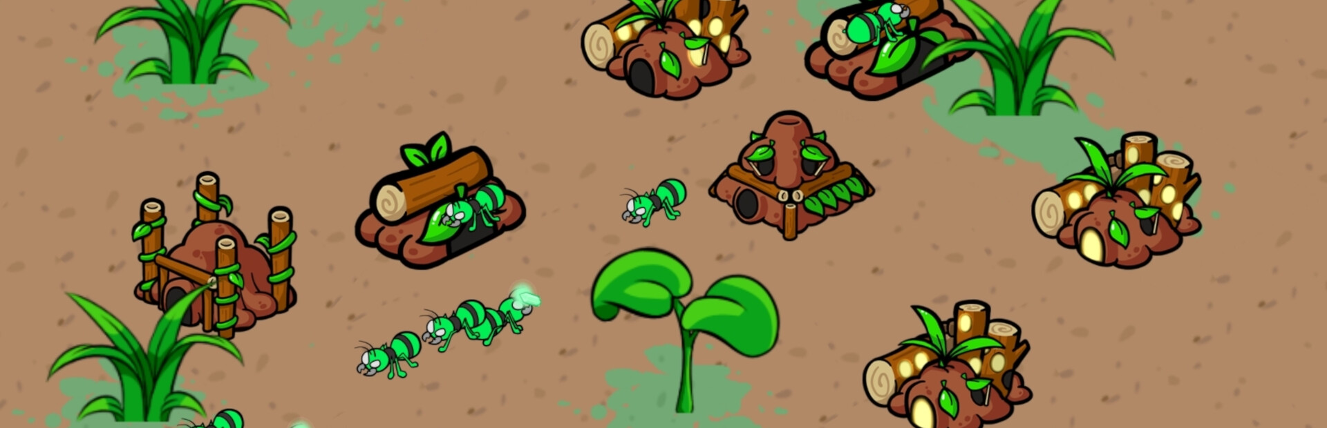 Insect Empires