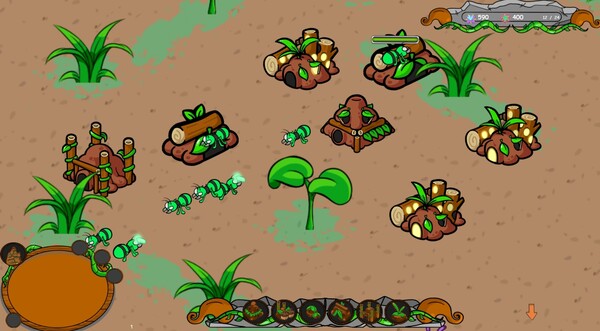 Insect Empires