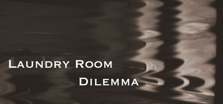 Laundry Room Dilemma cover art